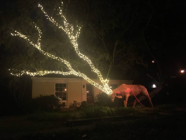 morning picdump 54 pics 10.html - 54 HD Photos | Premium Gallery 2018