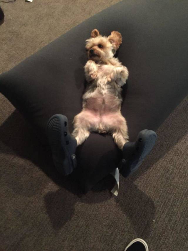 morning picdump 54 pics 10.html - 54 HD Photos | Premium Gallery 2018