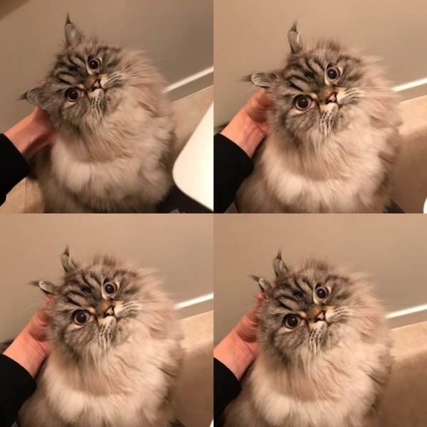 daily picdump 99 pics 40.html - 99 HD Photos | Premium Gallery 2018