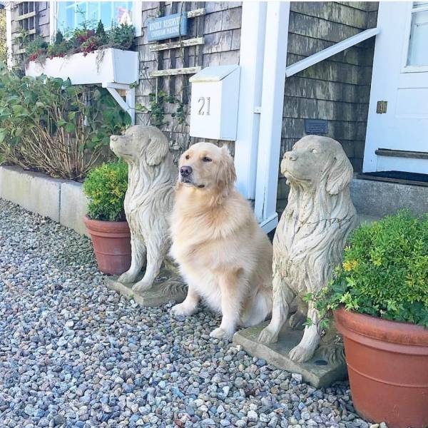 daily picdump 99 pics 40.html - 99 HD Photos | Premium Gallery 2018