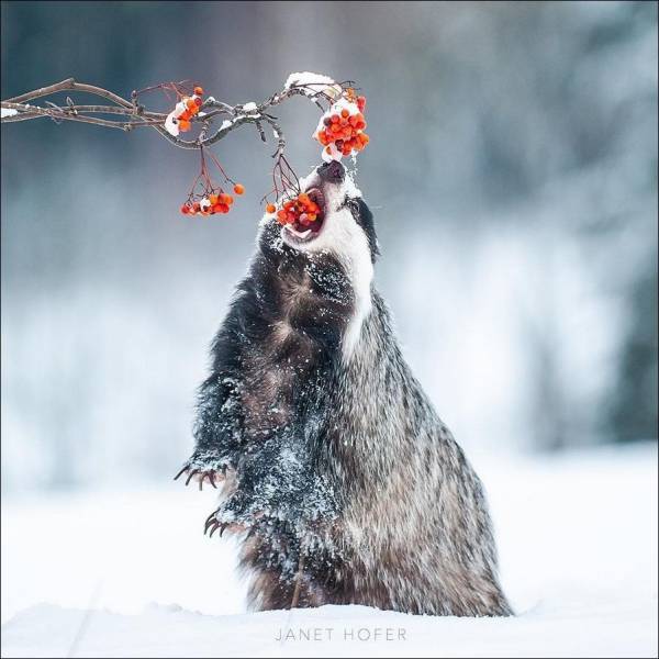 daily picdump 99 pics 40.html - 99 HD Photos | Premium Gallery 2018