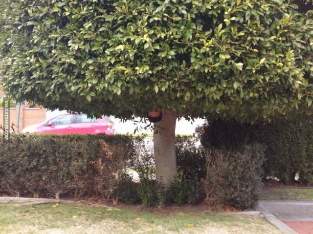 Hard-to-explain WTF Photos