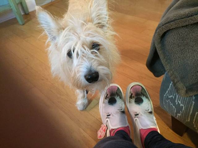 Daily Picdump [WEEKEND EDITION]