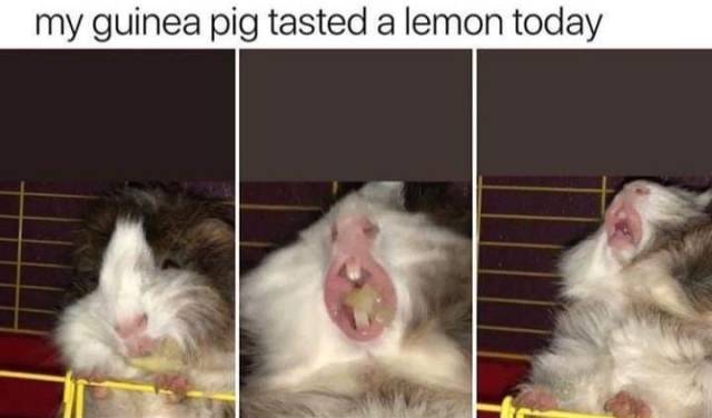 Daily Picdump [WEEKEND EDITION]