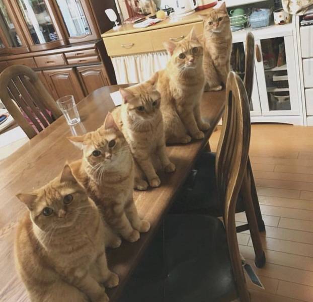 daily picdump weekend edition 68 pics 1.html - 68 HD Photos | Premium Gallery 2018