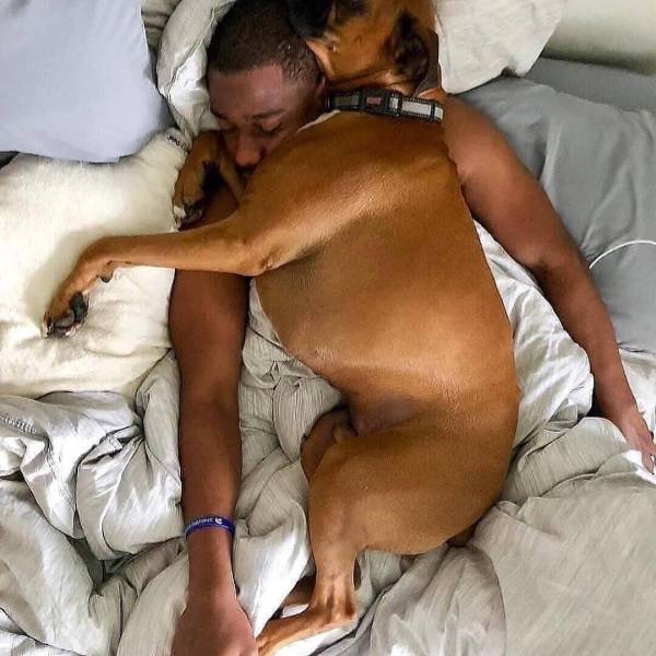 daily picdump weekend edition 68 pics 1.html - 68 HD Photos | Premium Gallery 2018