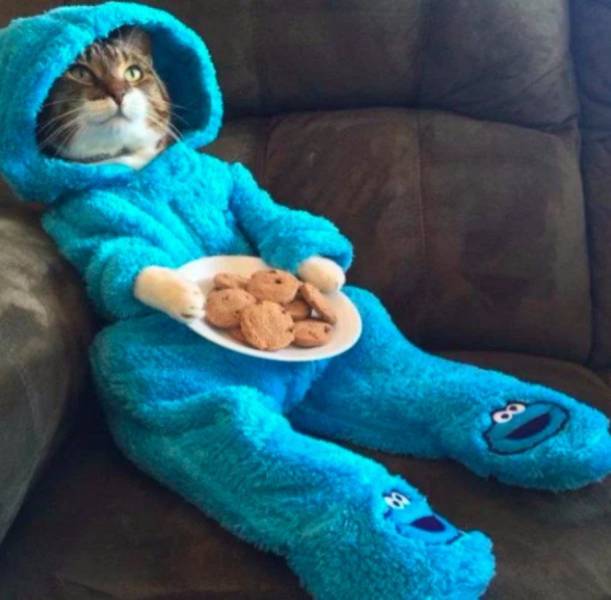 daily picdump weekend edition 68 pics 1.html - 68 HD Photos | Premium Gallery 2018