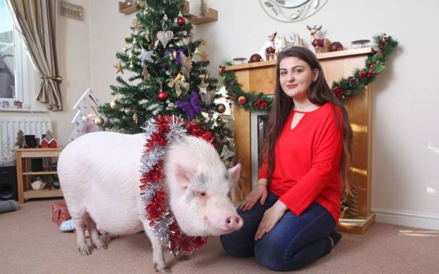 daily picdump weekend edition 68 pics 1.html - 68 HD Photos | Premium Gallery 2018