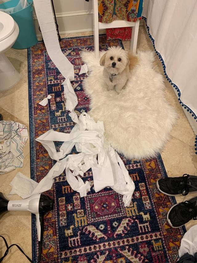 Daily Picdump [WEEKEND EDITION]