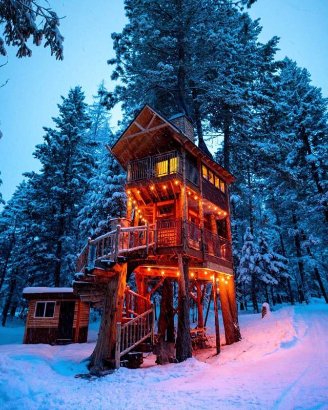 Daily Picdump [WEEKEND EDITION]