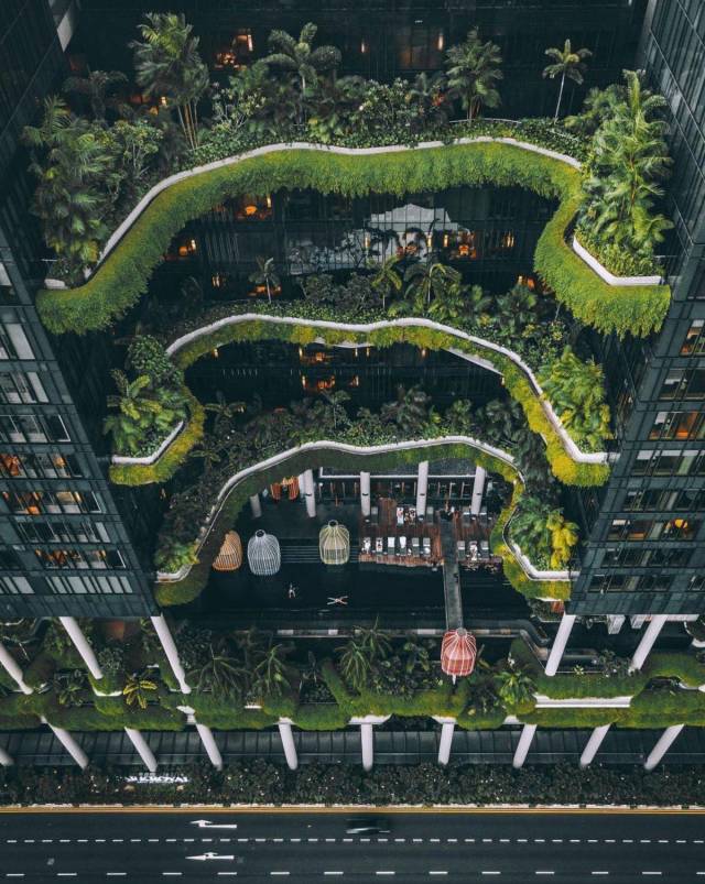 daily picdump weekend edition 68 pics 1.html - 68 HD Photos | Premium Gallery 2018