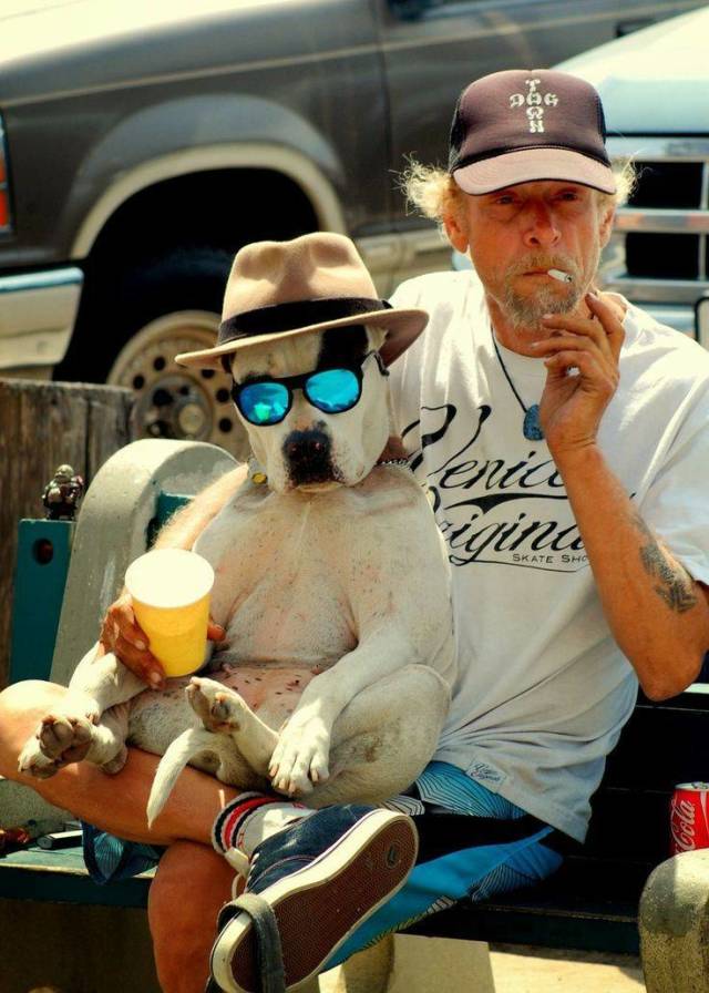 daily picdump 94 pics 34.html - 94 HD Photos | Premium Gallery 2018