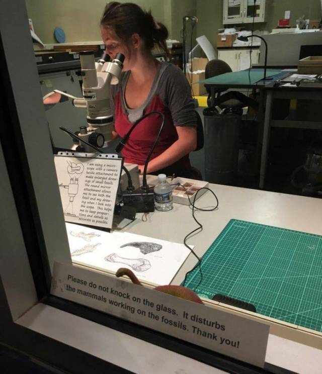 daily picdump 94 pics 34.html - 94 HD Photos | Premium Gallery 2018