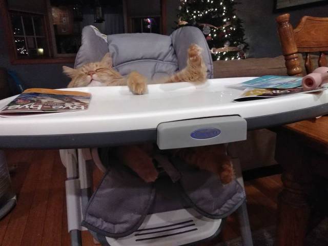 daily picdump 98 pics 45.html - 98 HD Photos | Premium Gallery 2018