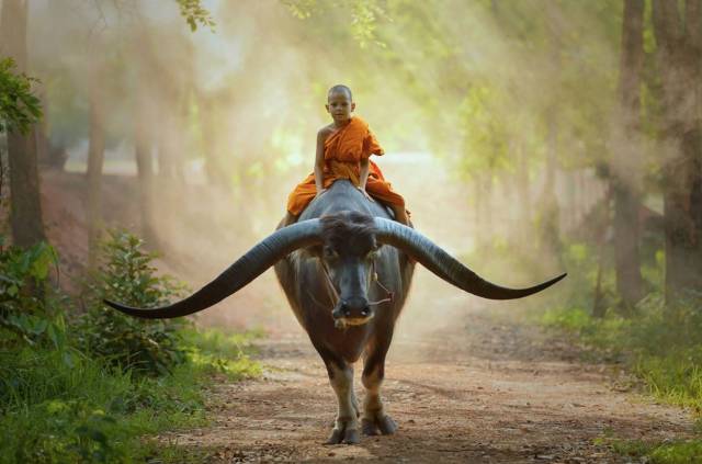 daily picdump 98 pics 45.html - 98 HD Photos | Premium Gallery 2018