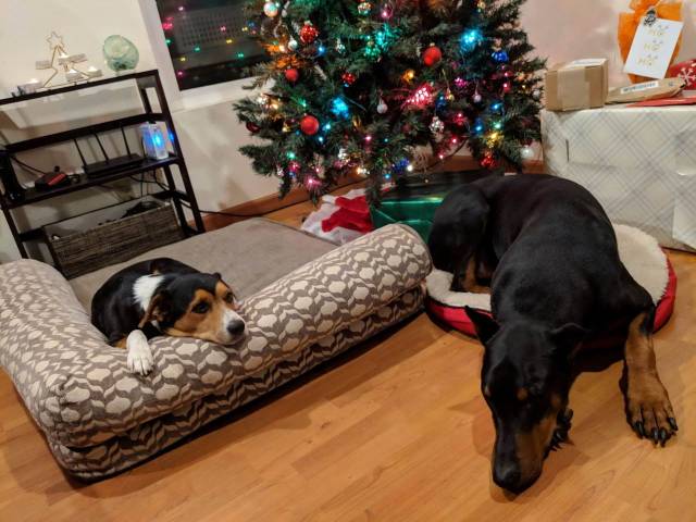 daily picdump 98 pics 45.html - 98 HD Photos | Premium Gallery 2018