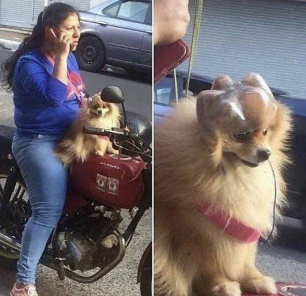 daily picdump 98 pics 45.html - 98 HD Photos | Premium Gallery 2018