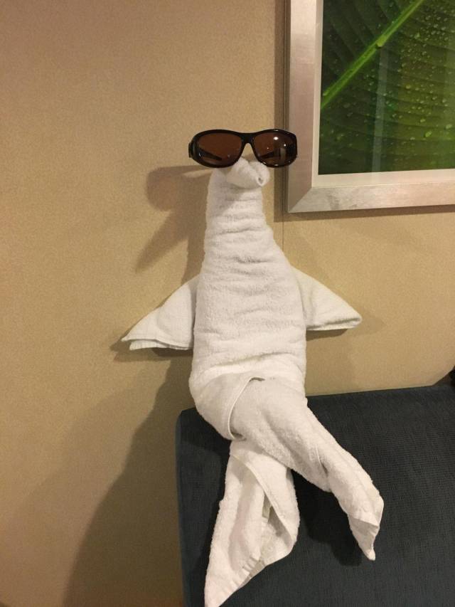 daily picdump 98 pics 45.html - 98 HD Photos | Premium Gallery 2018