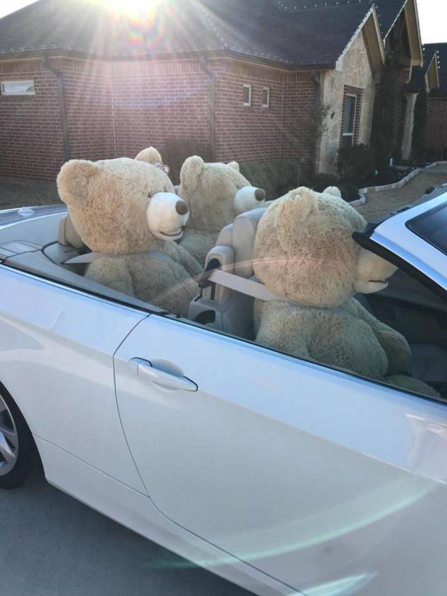 daily picdump 98 pics 45.html - 98 HD Photos | Premium Gallery 2018