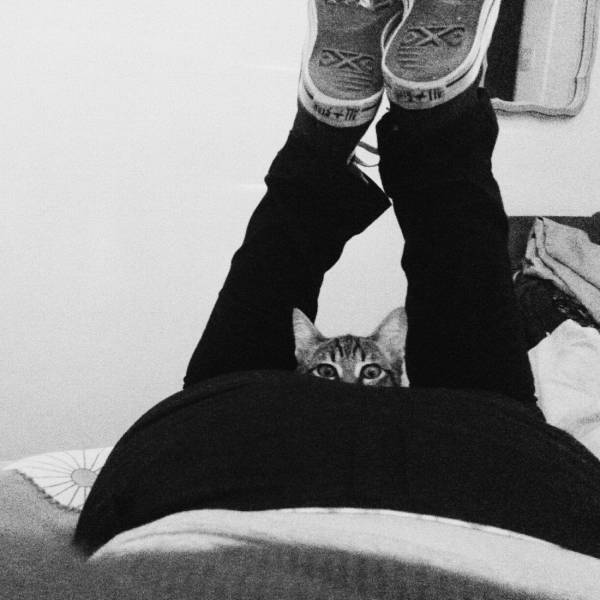 morning picdump 54 pics 4.html - 54 HD Photos | Premium Gallery 2018