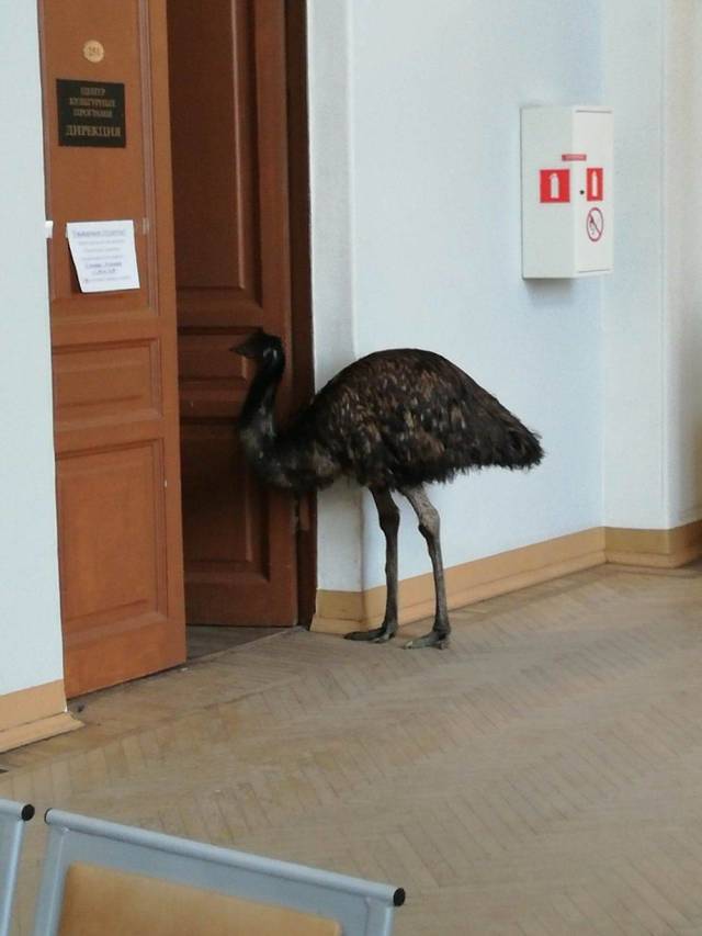 morning picdump 54 pics 4.html - 54 HD Photos | Premium Gallery 2018