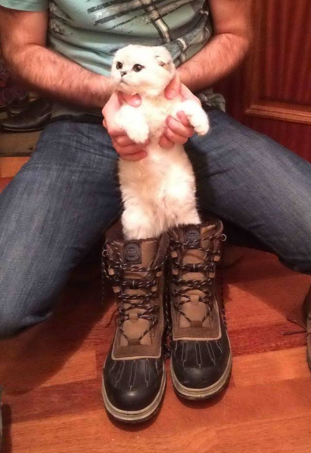 morning picdump 54 pics 4.html - 54 HD Photos | Premium Gallery 2018