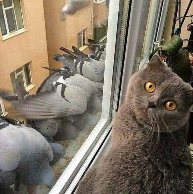 morning picdump 54 pics 4.html - 54 HD Photos | Premium Gallery 2018