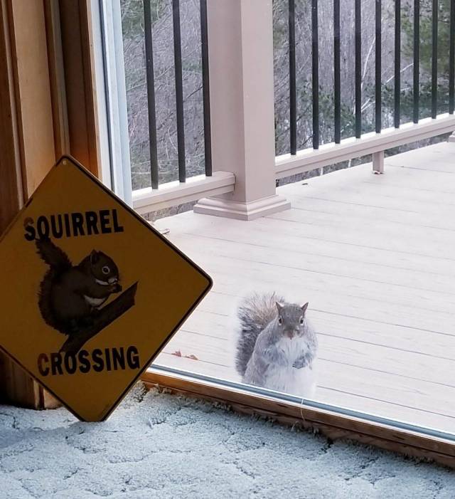 morning picdump 54 pics 4.html - 54 HD Photos | Premium Gallery 2018