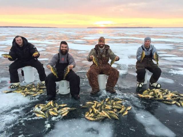 daily picdump 91 pics 33.html - 91 HD Photos | Premium Gallery 2018