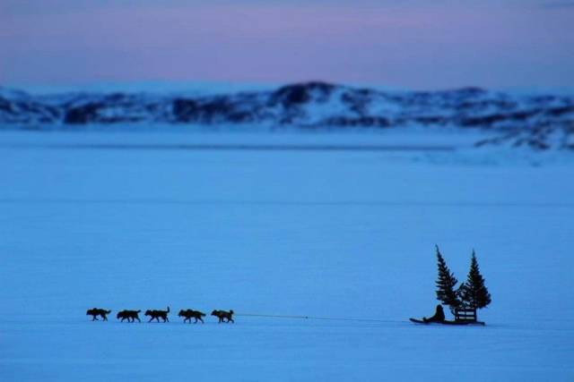 daily picdump 91 pics 33.html - 91 HD Photos | Premium Gallery 2018