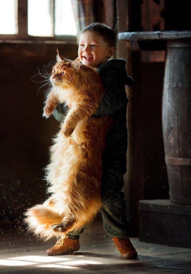 daily picdump 91 pics 33.html - 91 HD Photos | Premium Gallery 2018