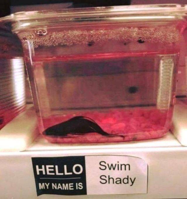 daily picdump 91 pics 33.html - 91 HD Photos | Premium Gallery 2018