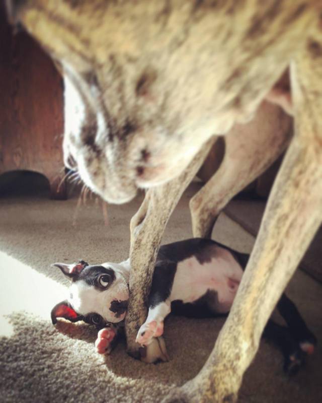 daily picdump 91 pics 33.html - 91 HD Photos | Premium Gallery 2018