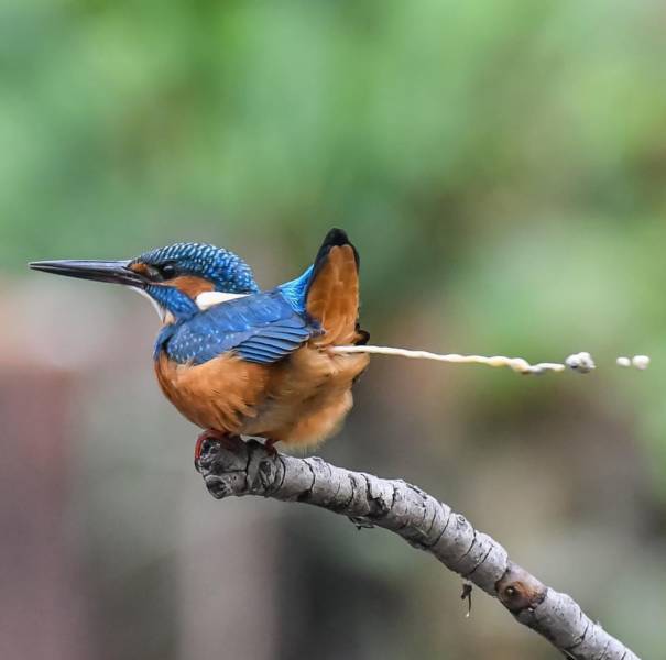 daily picdump 90 pics 4.html - 90 HD Photos | Premium Gallery 2018