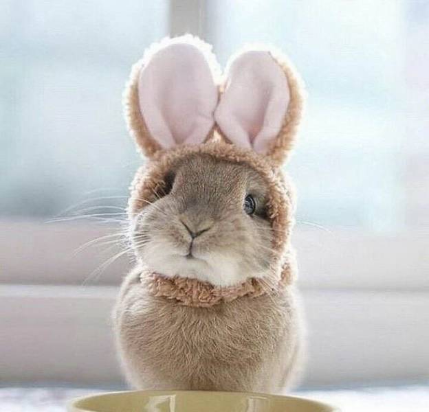 daily picdump 90 pics 4.html - 90 HD Photos | Premium Gallery 2018