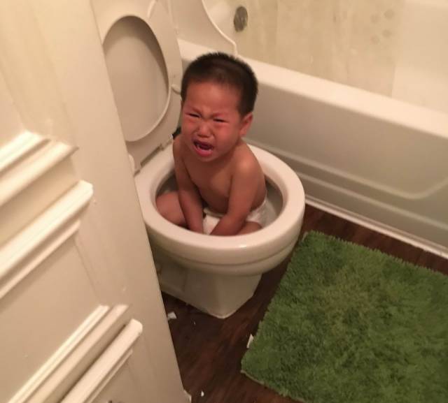 daily picdump 90 pics 4.html - 90 HD Photos | Premium Gallery 2018