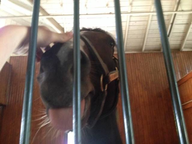 daily picdump 90 pics 4.html - 90 HD Photos | Premium Gallery 2018