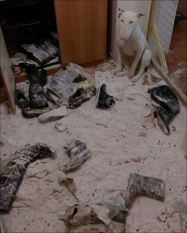 daily picdump 90 pics 4.html - 90 HD Photos | Premium Gallery 2018