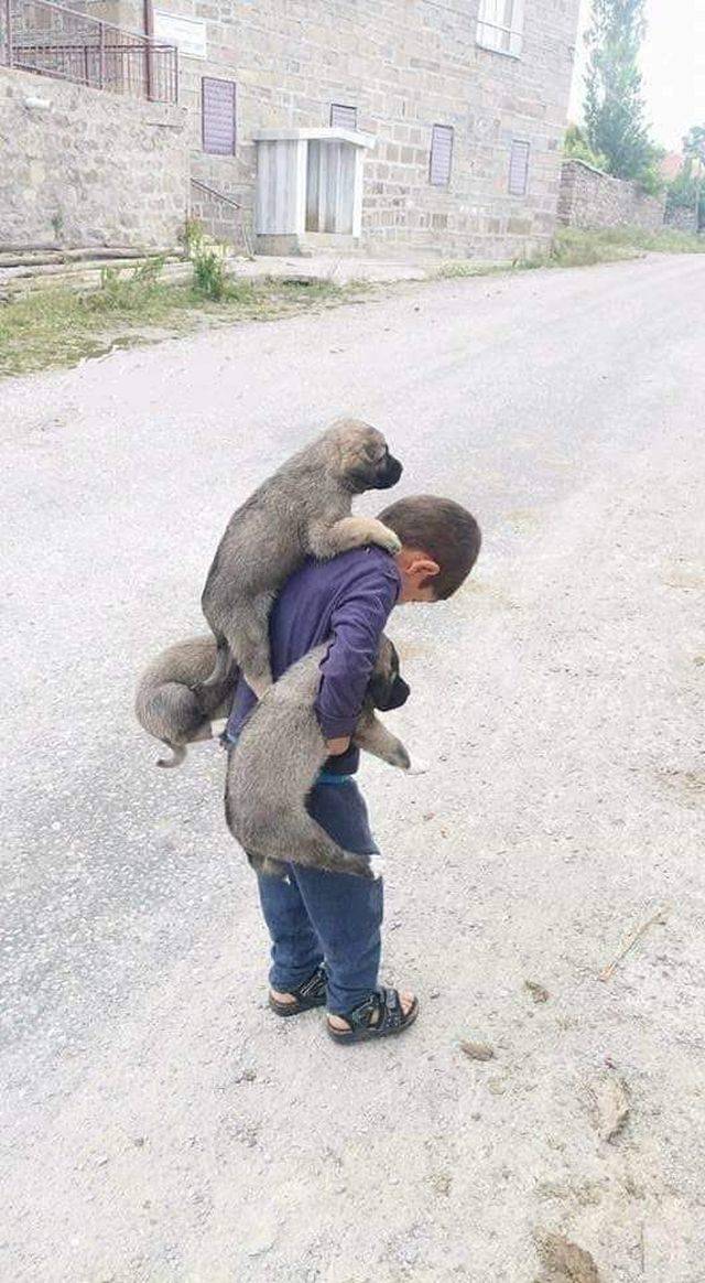 daily picdump 90 pics 4.html - 90 HD Photos | Premium Gallery 2018