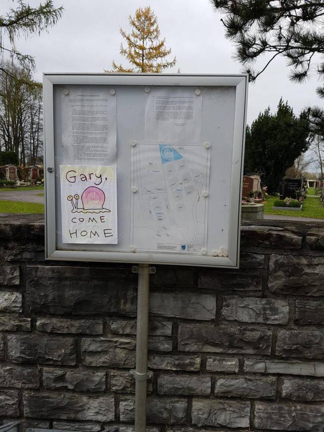 daily picdump 90 pics 4.html - 90 HD Photos | Premium Gallery 2018