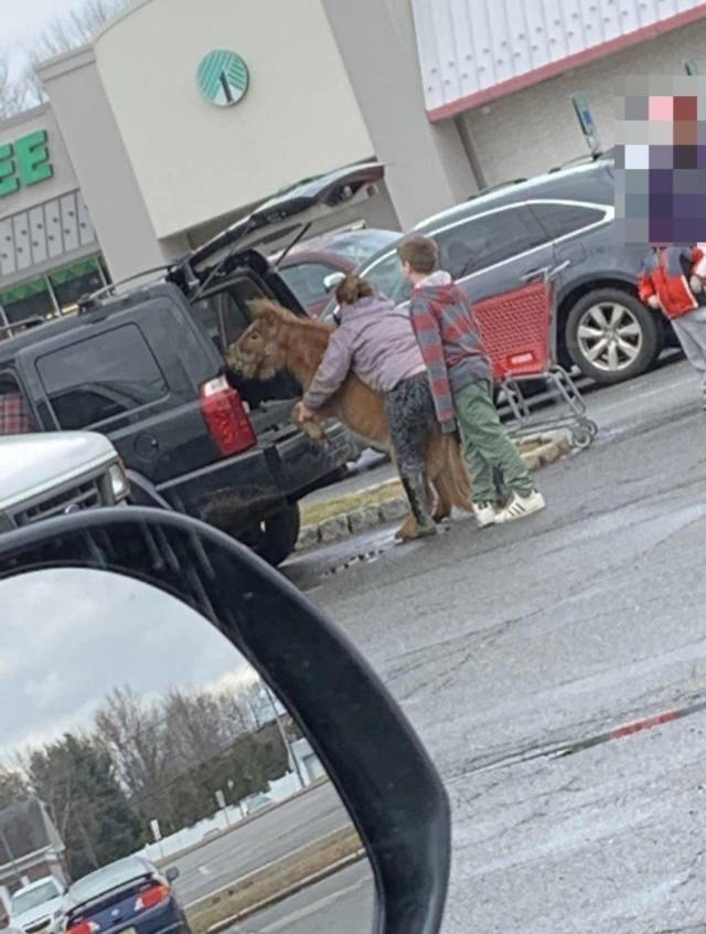 daily picdump 90 pics 4.html - 90 HD Photos | Premium Gallery 2018