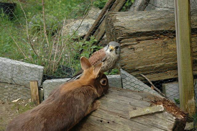 morning picdump 54 pics 12.html - 54 HD Photos | Premium Gallery 2018