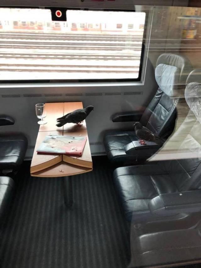 morning picdump 54 pics 12.html - 54 HD Photos | Premium Gallery 2018