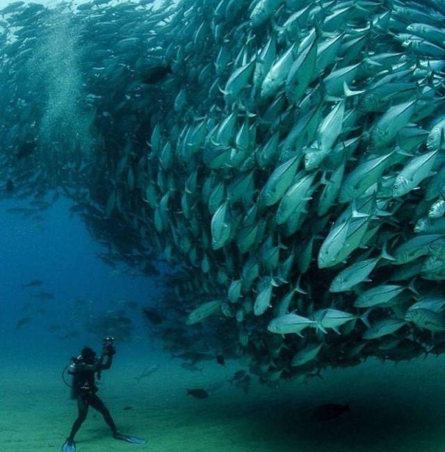 morning picdump 54 pics 12.html - 54 HD Photos | Premium Gallery 2018