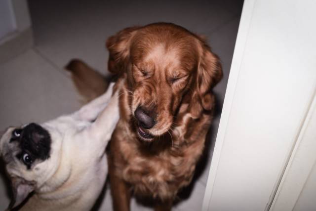 Daily Picdump [WEEKEND EDITION]