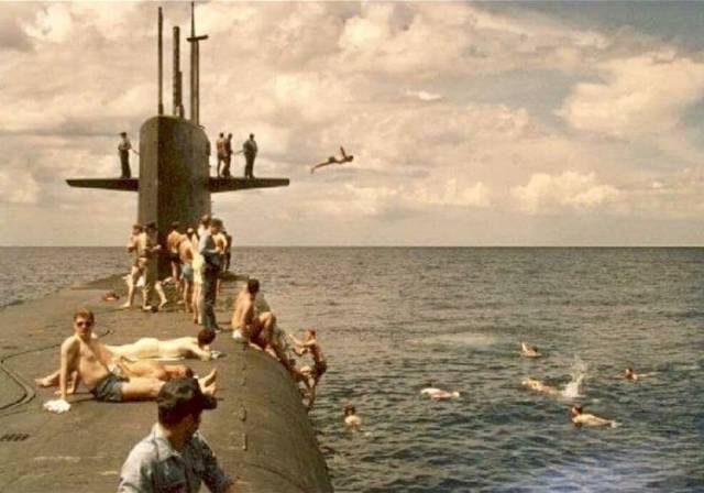 daily picdump weekend edition 84 pics 36.html - 84 HD Photos | Premium Gallery 2018