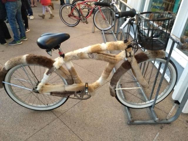 daily picdump weekend edition 84 pics 36.html - 84 HD Photos | Premium Gallery 2018