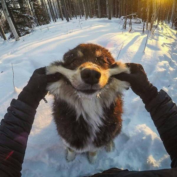 daily picdump weekend edition 84 pics 36.html - 84 HD Photos | Premium Gallery 2018