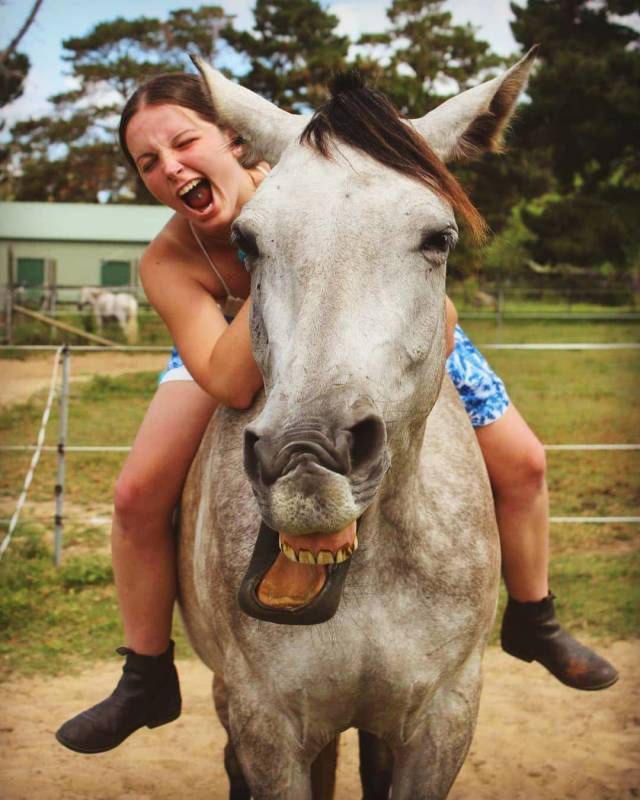 daily picdump weekend edition 84 pics 36.html - 84 HD Photos | Premium Gallery 2018