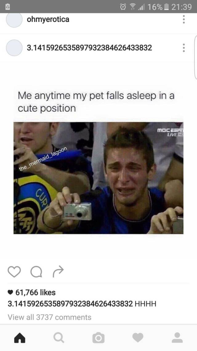 These Dog Memes Are Too Woofunny!